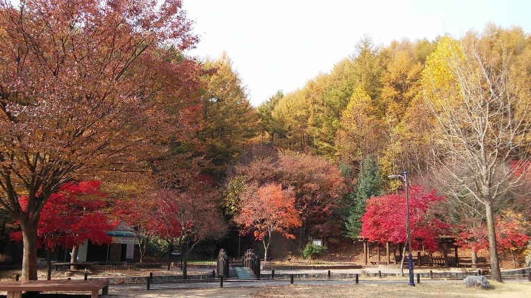 2143D549563C463F01CA16