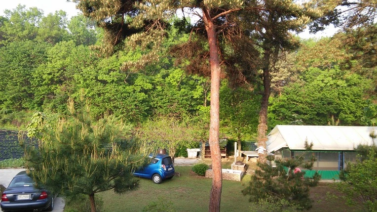 23771A35572E6750271595