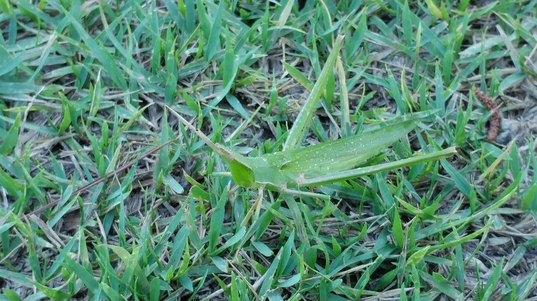 999FE43B5B6F7986039B68