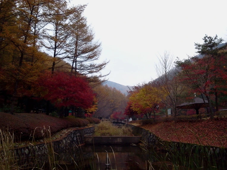 235F8550547F927E100ACC