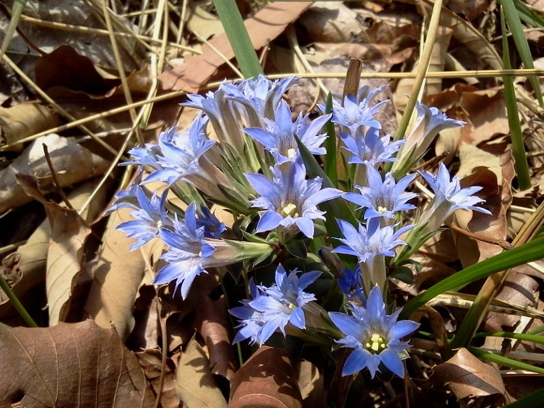 1574104F4ECEB9041E9F3E