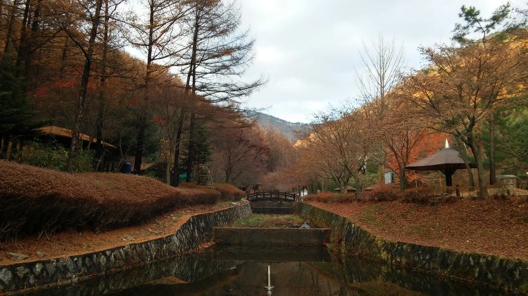 251BCA38564D16CE23DE33