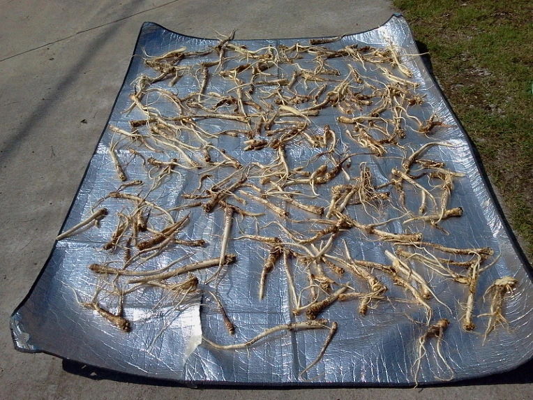 1706C7344E66D8861C55A9