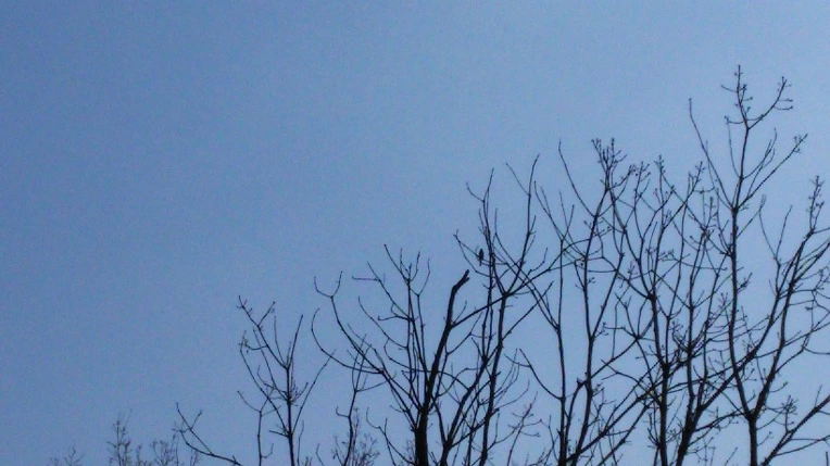 2425F94E58B366581FC560