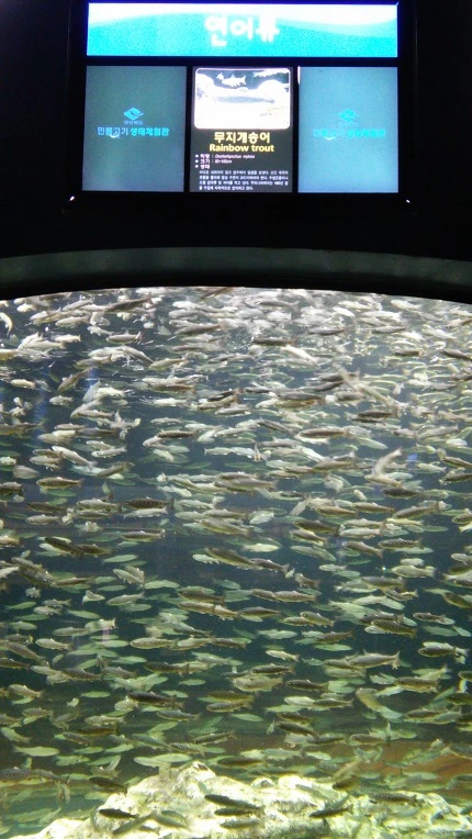 2324CD3C593C75FF3399C6