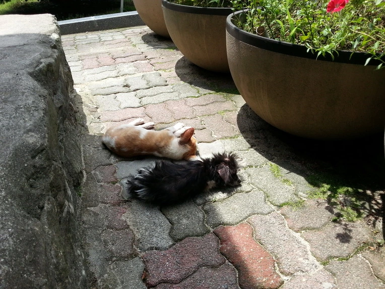 0150A93451EB4FC31D05FB