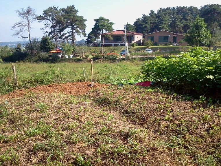 20481C394E66D86C16BCCB