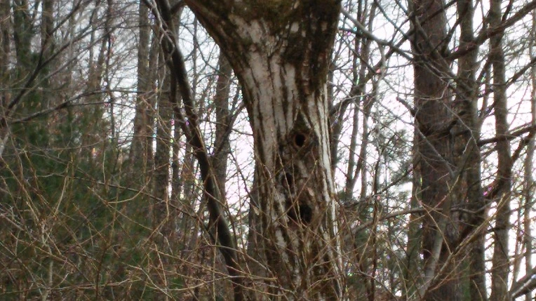 24374C4156F4DC81089AF0