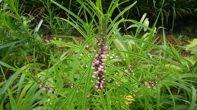 22534B4757982E7D184738