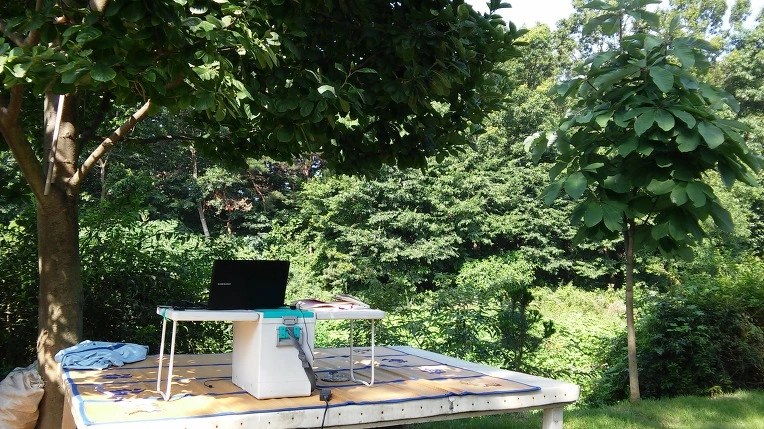 2332153C578D953516985B