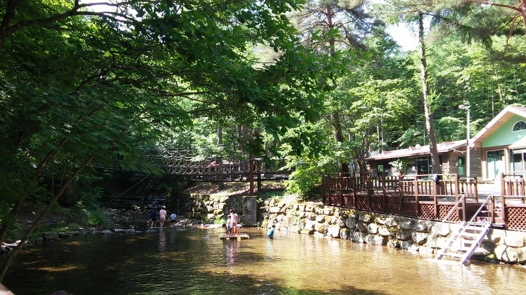 233DC83E59445A143B9B61