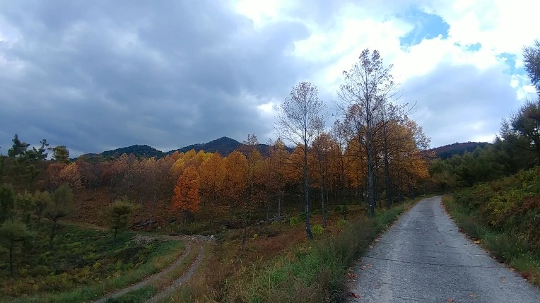 99D79A355BD6AE442138A4