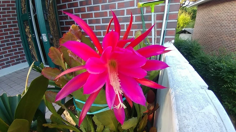 9993D6505B13797B2042D9