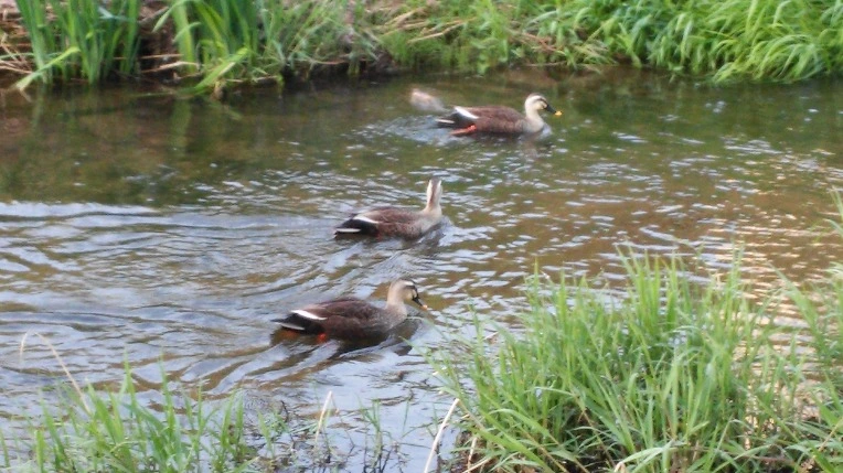 234B4A4D5717E91D242D06