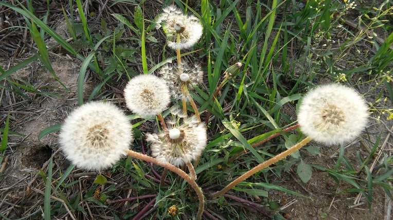 256BBC3B571E9C1C28E567