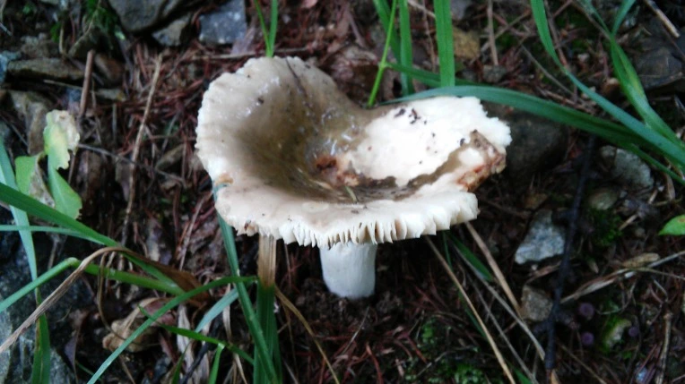 232CFB4956987CF02DF486