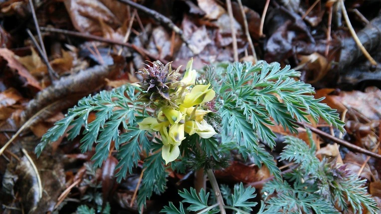 2317F34058D7558527127B