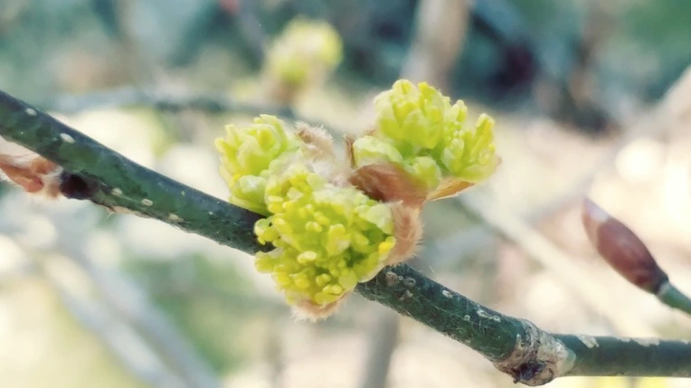 998E1E405EBE1C6D26F7EA