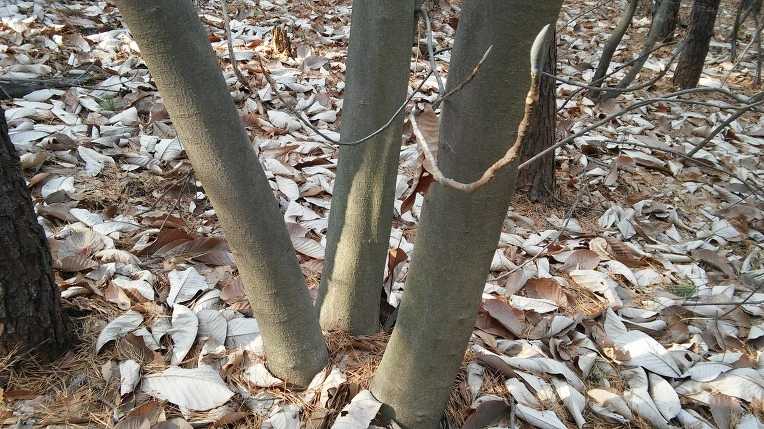 27249C4C58B366451EA347