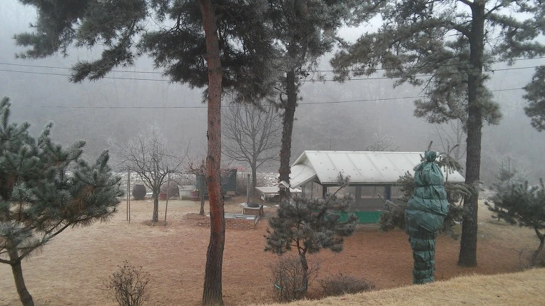 236855465880018917B99E