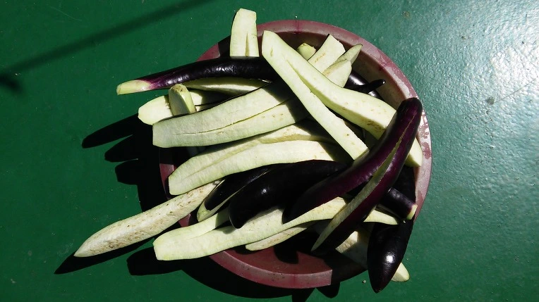 251F4D3957C0FA5A27B0EA