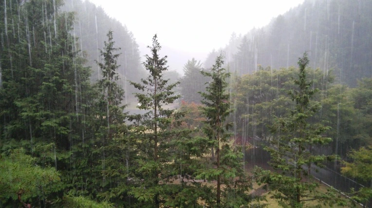 2313C934560D7F1E1FF589