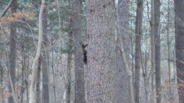 2345253956F8713B317350