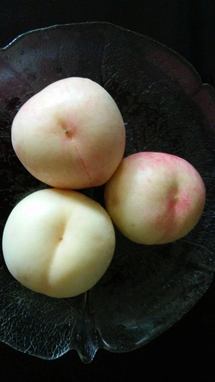 267A35405622BFF9042AE4