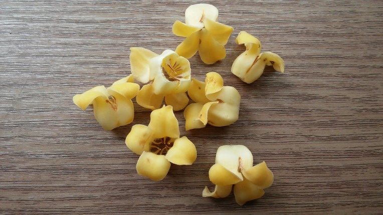 27646B4F597136F73B31AE