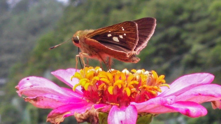 99A9D933599E1B3B226A56