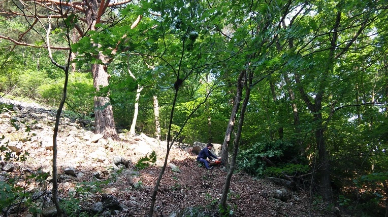 277E3D3C592B40ED0A77F4