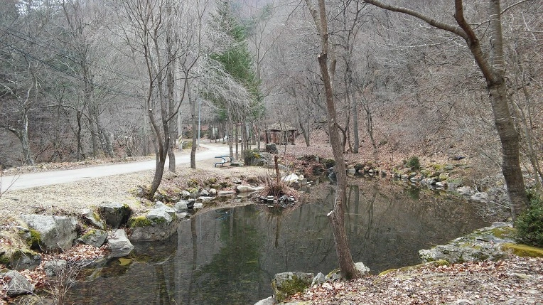 270C505058D5FFEA1C90B6