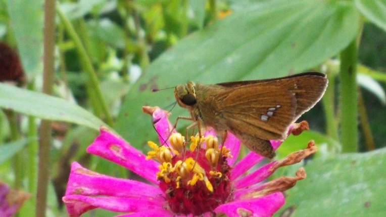 9997DA33599E1B261AF594