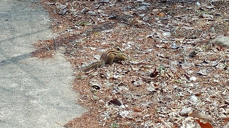 99800F485AC8A214182341