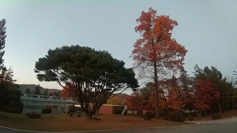 9956DC3C5C275B062BF677