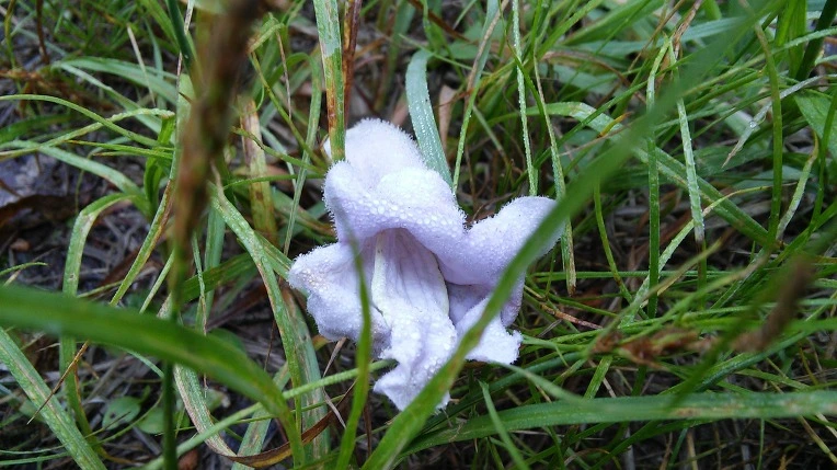 27578E3B59339B4A31D8F9