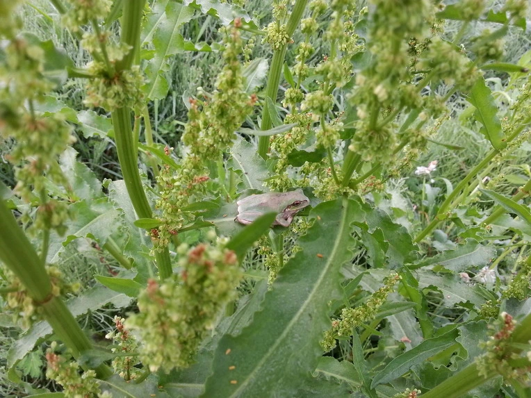 2222EC4856B024C714FB67