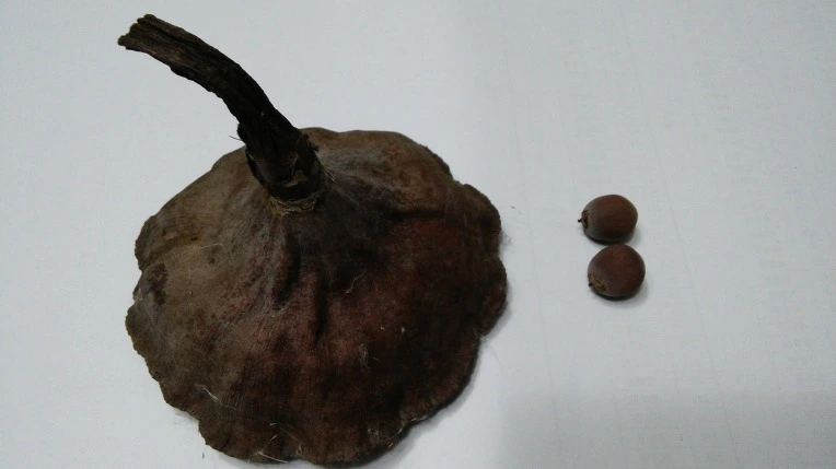 23426E4D56A9E9C21C5427