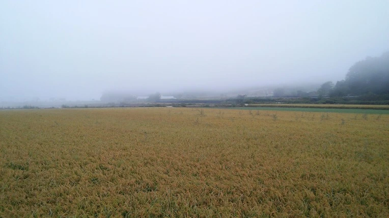 262B163857E4681C37F631