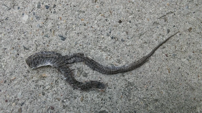 22350B3959290FFD1897CB