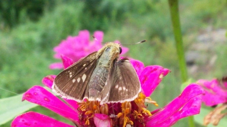 9953BD33599E1B3211CCC4