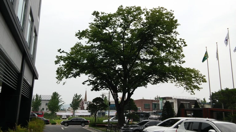 246F2C505786BF2C04ECB7