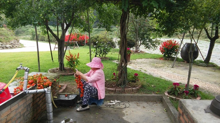 2261F34757E767B618D7E2