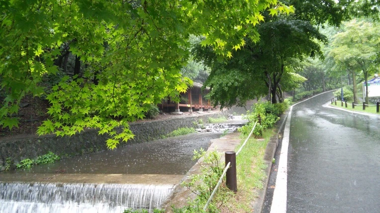 272F883B5693284C2854F8