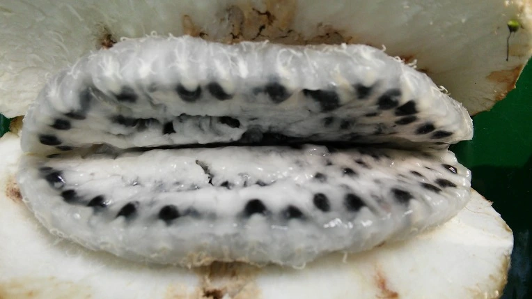 271A473855F8EF3708EAAD