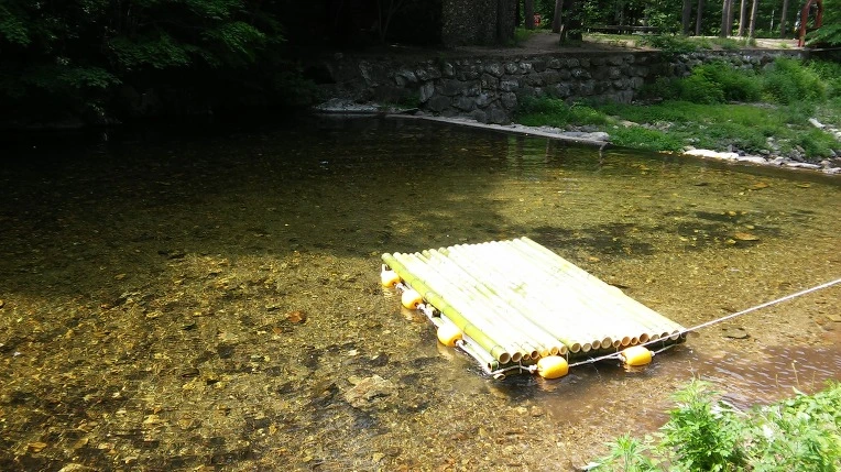 2627A13859445C443A3A6D