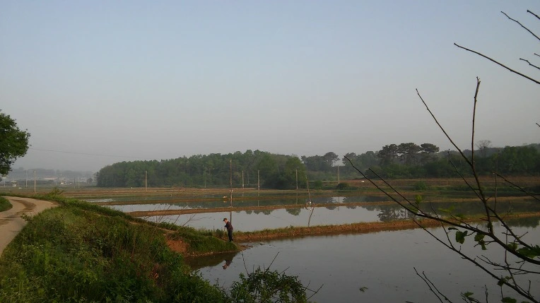 243C0B34572E66CF2819BC