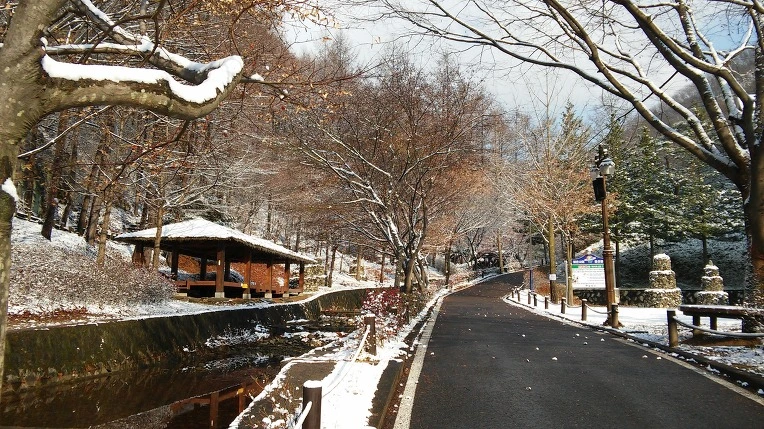 265B824456932E4905C540