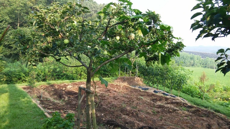 25032D4857A523BE2FFCBB