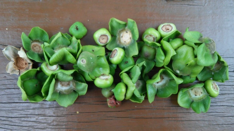 2418AA4D59596BE20AA6B5